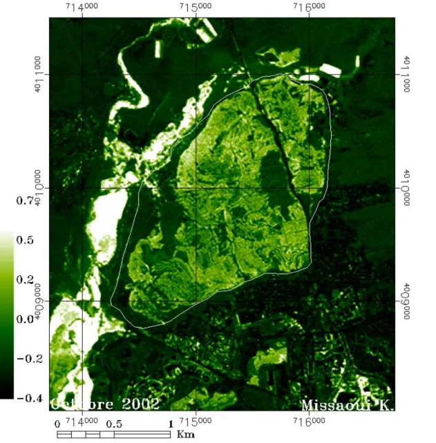 Fig. 37. Répartition spatiale de l’indice NDVI de l’image SPOT, année  2002 