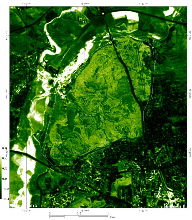 Fig. 38  Répartition spatiale de  l’indice NDVI de l’image SPOT , année  2013 