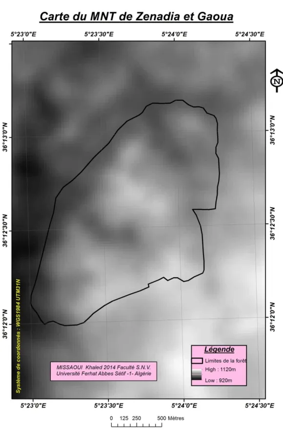 Fig. 39.  Carte du MNT de la zone d’étude  