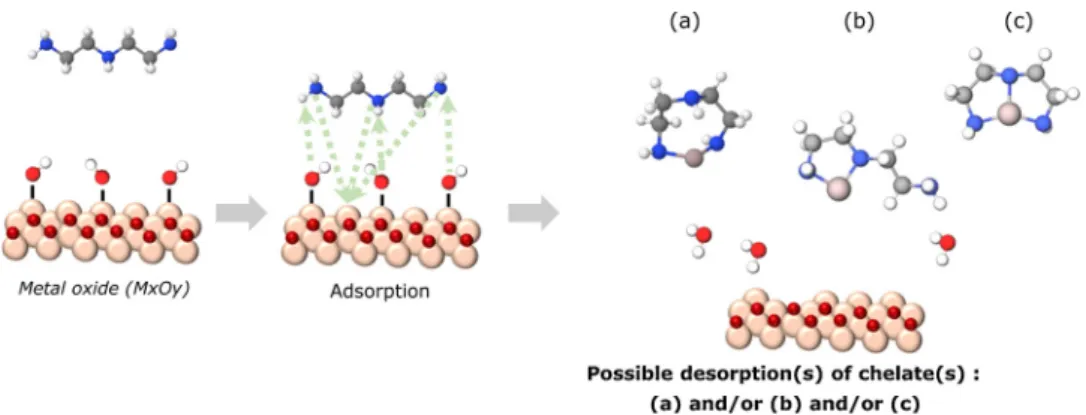 Fig. 9. Proposed mechanistic schemes for the DETA-metal interaction. (a), (b) and (c) are potential chelates that may be envisioned.