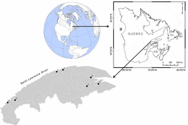 Figure 1 | Study area showing the seven sampled rivers in the Gaspésie region, Québec, Canada