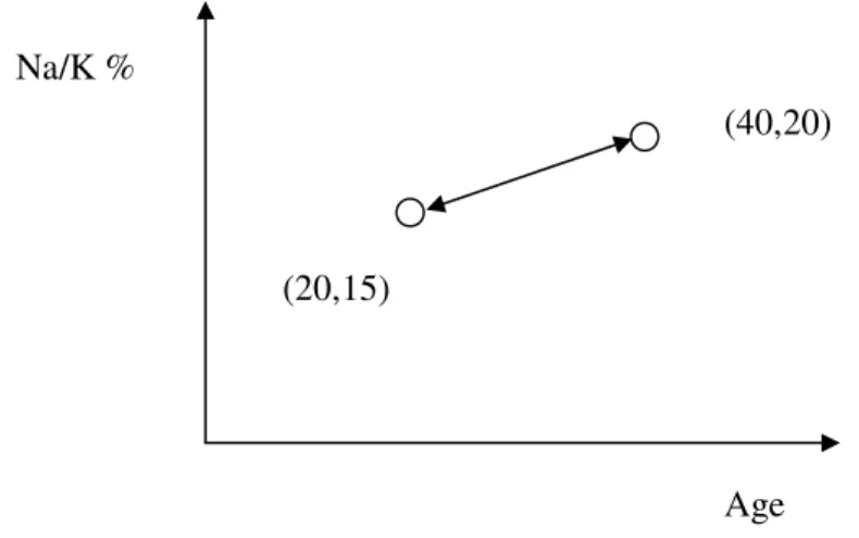 Figure 2.3. Calcul d’une distance Euclidienne. 