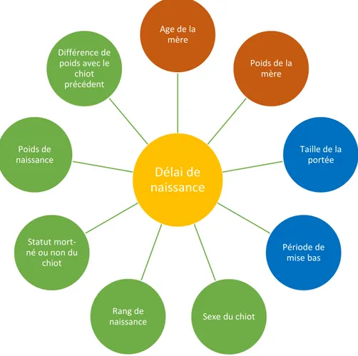 Figure 5 : Facteurs retenus pour la modélisation du délai de naissance 