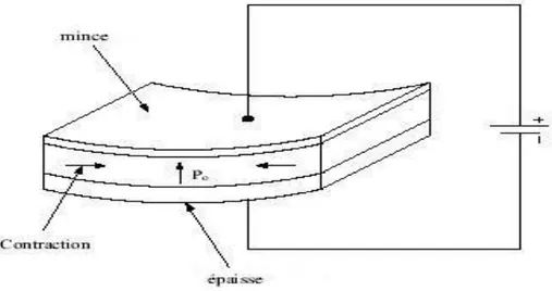 Figure I.5 :  Génération d’une onde de flexion.