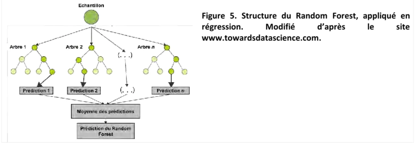 Figure  5.  Structure  du  Random  Forest,  appliqué  en  régression.  Modifié  d’après  le  site  www.towardsdatascience.com