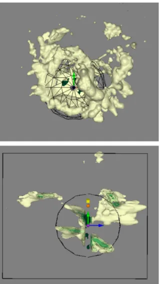 Fig. 2. Top: Reconstructed 3D structure of the optical ejecta in SNR E 0102, as
