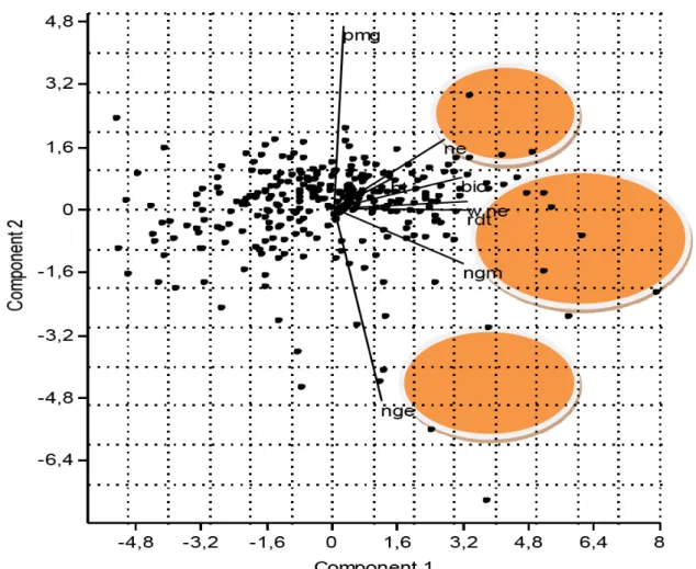 Figure 14. Représentation des lignées d’orge à 2 rangs sur le plan formé par les axes 1 (58.9%) et                    2 (17.1%)