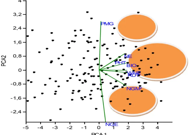 Figure  15. Représentation des lignées d’orge à 6 rangs sur le plan formé par les axes 1 (59.4%)                      et 2 (18.3%)