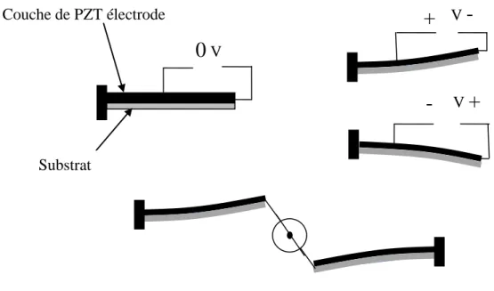 Figure  ‎ II-2: Lames uni morphes. [16]