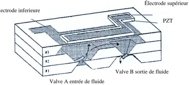 Figure  ‎ II-5: Micro-pompe piézoélectrique. [19]
