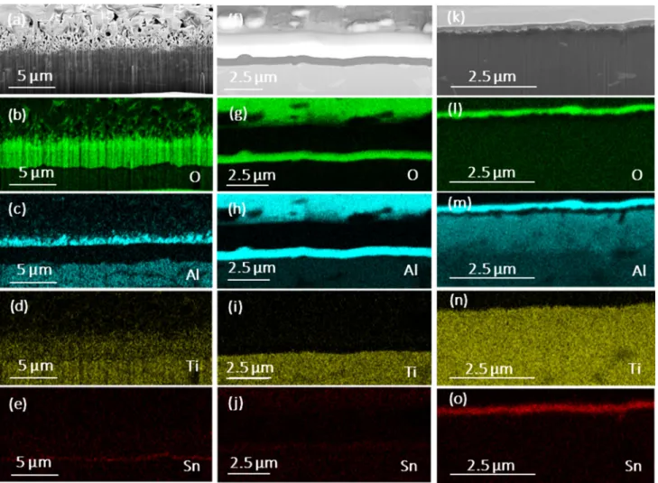 Figure 3 shows a SEM cross-sectional micrograph and scanning Auger microscopy (SAM) maps of the DMAI500 sample after oxidation