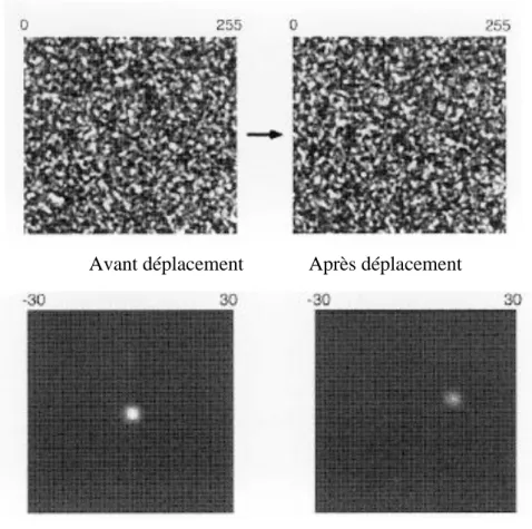 Figure 1.10 : Figure de speckle dans le champ de diffraction avant et après un déplacement et leurs 