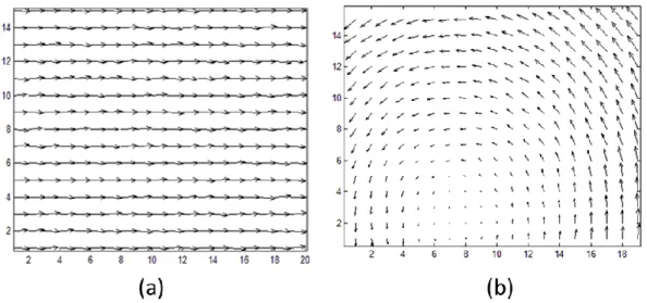 Figure 1.14. Champs des déplacements mesurés par notre algorithme de corrélation (DSP)