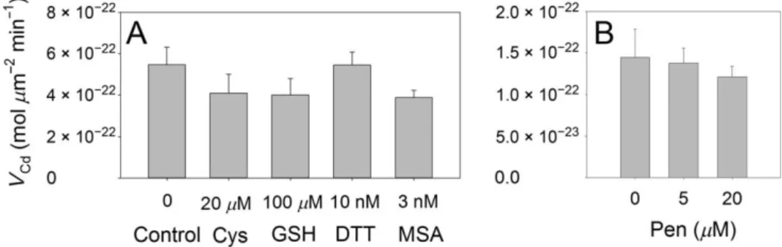 Fig. 5. One-hour Cd uptake rate (mean 6 SD, n 5 3) at 0.2 nM Cd 21 (buffered by NTA) in the presence or absence of: (A) L-cysteine (Cys), glutathi- glutathi-one (GSH), DTT, MSA and (B) L-penicillamine (Pen), by C