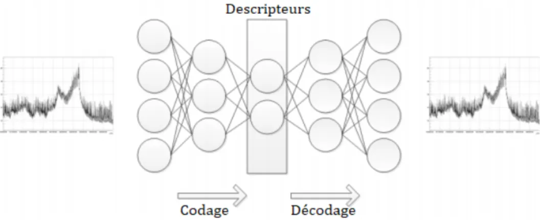 Figure 1.9 – Illustration du principe d’extraction de descripteurs à l’aide d’un auto-encoder.