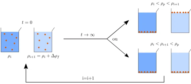 Figure 2.3 – Schéma de principe de l’estimation de la densité des particules, ρ p , par enca-