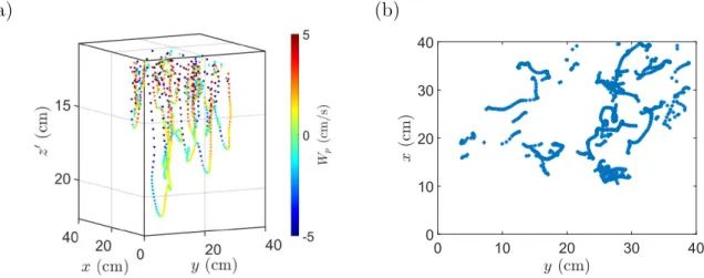 Figure 2.20 – (a) Exemple de la trajectoire 3D du disque D3 2 pour une expérience de