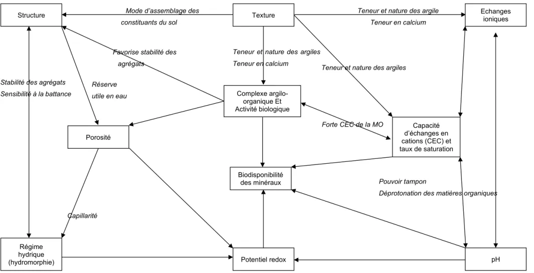 Figure 1 : Schéma conceptuel des interactions entre les propriétés du sol (non exhaustif) (Duchaufour, 2001; Gobat et al., 2003) 