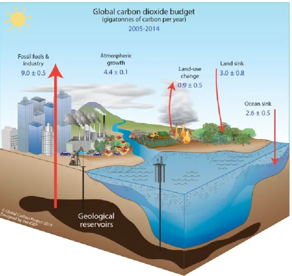 Figure 3 : Représentation schématique des perturbations du cycle du carbone à l'échelle planétaire en raison des  activités anthropiques, moyennées pour la décennie 2005-2014