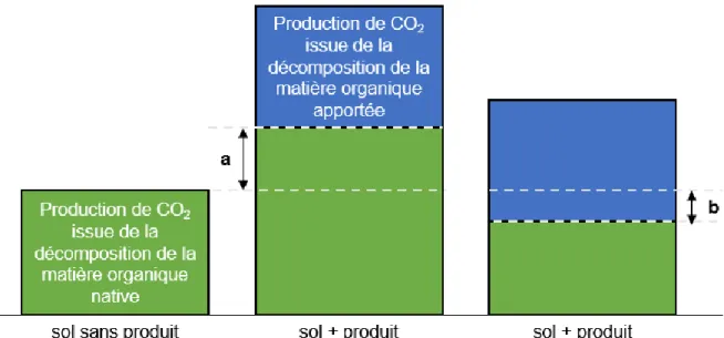 Figure 8 : Schéma des effets &#34;priming&#34; à la suite de l’apport en matière organique