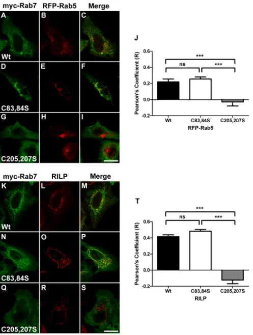 Fig. 2. Palmitoylation is not required to localize Rab7 to late endosomes. (A-I) U2OS cells