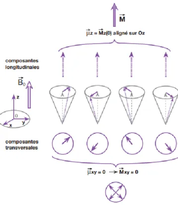 Figure 5: Notion de composante longitudinale 