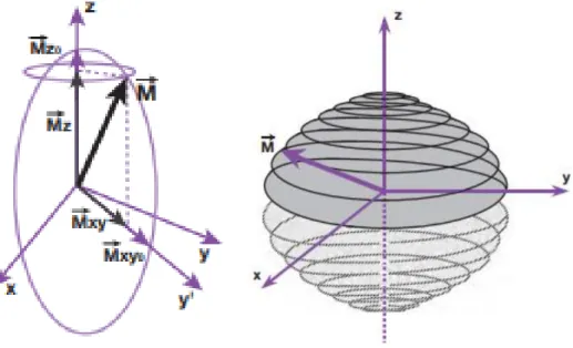 Figure 6:Mouvement de double précession du vecteur d'aimantation macroscopique 