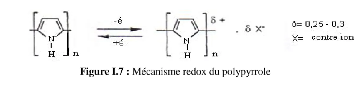 Figure I.7 : Mécanisme redox du polypyrrole 
