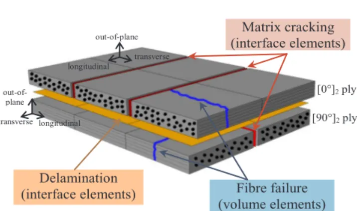 Fig. 1. DPM: modelling of damages.