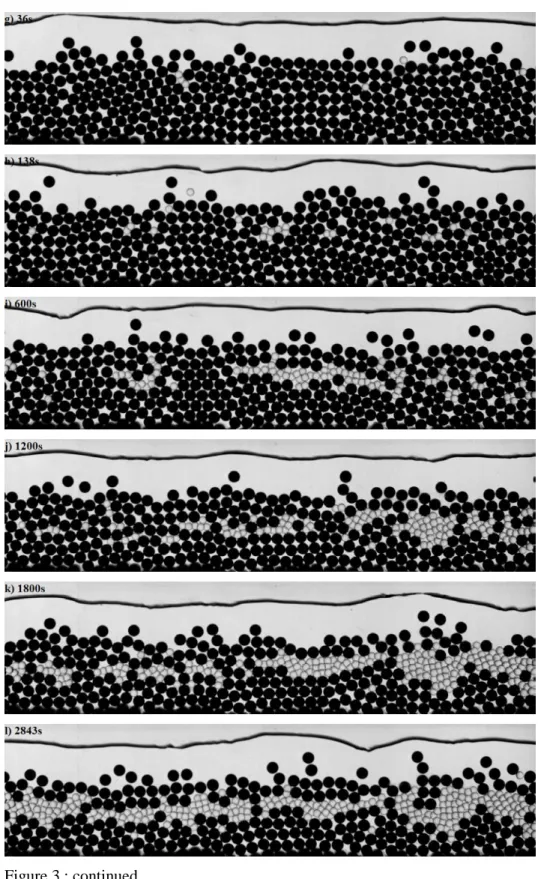 Figure 3 : continued 