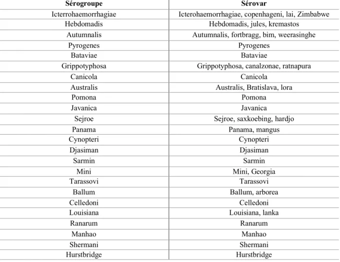 Tableau 1 : Sérogroupes et quelques sérovars de L.interrogans sensu lato (source : Levett, 2001 [3]) 