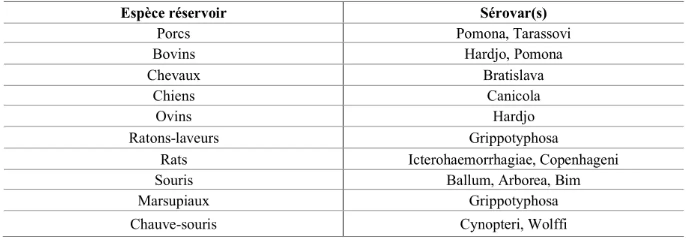 Tableau 3 : Espèces réservoirs et sérovars associés 