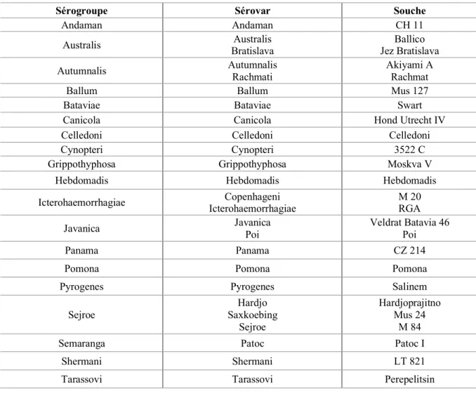Tableau 4 : Liste des souches de référence de Leptospira recommandées par l’OMS pour l’utilisation en guise  d’antigènes (source : Goris &amp; Hartskeerl, 2014 [95] ) 