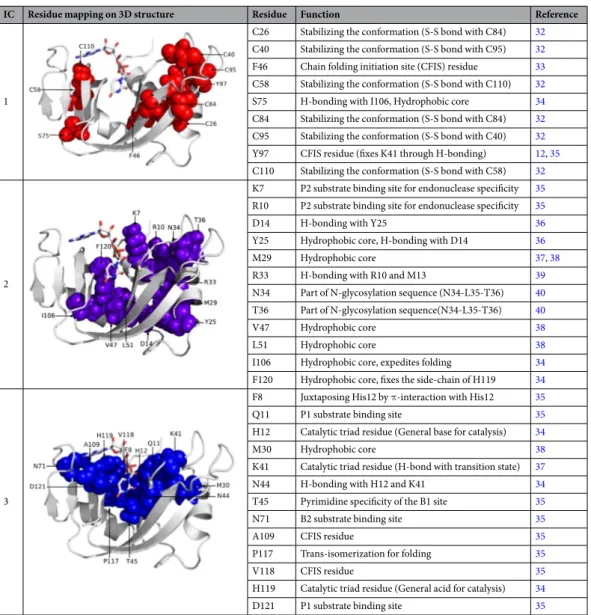 Table 1.  Functional contribution of sectors defined for the ptRNase superfamily. Amino acid residues of each 