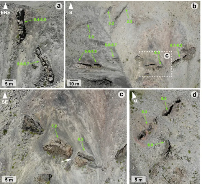 Fig. 7. UAV images of the dyke swarm. Dyke segment ID is indicated in green. (a) Near-vertical and near-strike view of two dyke segments of ~5 m thickness; (b) Near-plan view of segments in the dyke swarm