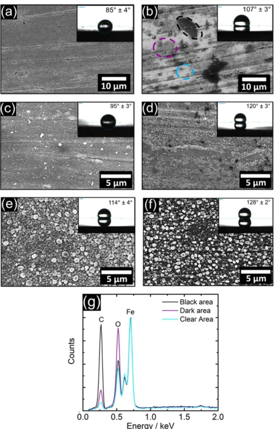Figure 3. SEM micrographs of the carbon steel samples after the treatments in the autoclave