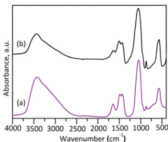Table  3  Carbonate  contents  of as  synthesized powders as well as after  SPS  (evaluated by FTIR; uncertainties estimated to 0.5 wt%)