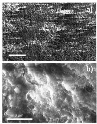Fig. 8 SEM micrographs: typical morphology for Mg30 cACP K samples consolidated by low temperature SPS
