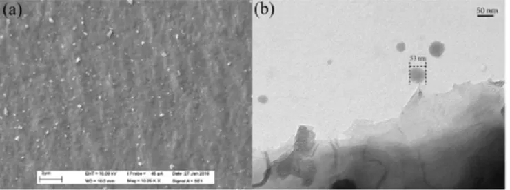 Fig.	10	 Nitrogen	adsorption	isotherms	at	77	K	for	raw	and	nano-biochar	(P/P 0 	is	the	partial	pressure	of	nitrogen	and	the	adsorbed	gas	onto	nanobiochar	is	measured	as	a	function	of	P/P 0 ).