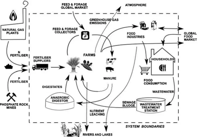 Fig. 1. Conceptual framework of the nutrient and biomass ﬂows involved in FAN’s agro-food network