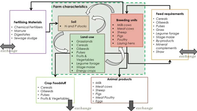 Fig. 3. Farm agent entities in the model and their possible interactions and material exchanges with the local and global markets