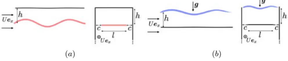 FIG. 2: Definition of uncoupled problems. (a) Uncoupled flag problem. (b) Uncoupled free surface problem.