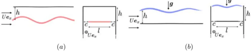 FIG. 2: Definition of uncoupled problems. (a) Uncoupled flag problem. (b) Uncoupled free surface problem.