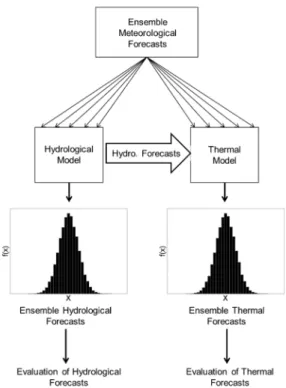 Figure 1. Forecasting framework of discharge and water temperature. 