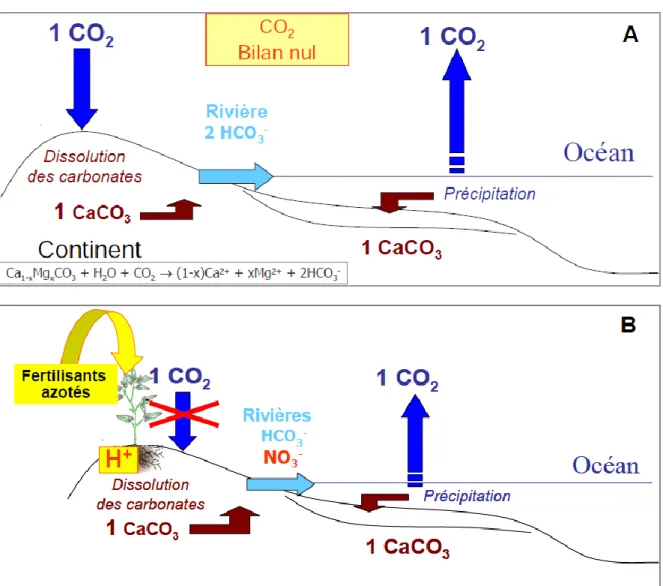 Figure 9 : Schéma de la dissolution naturelle des carbonates dans le cycle du carbone (A) vs