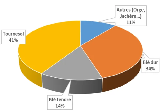 Figure 16 : Assolement moyen des sols du bassin du Montoussé sur la période 2002-2014 