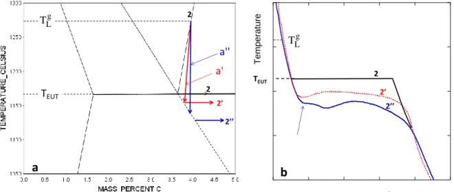 Figure III-7. (a) solidification path of an hyper-eutectic alloy in the related Fe-C isopleth section