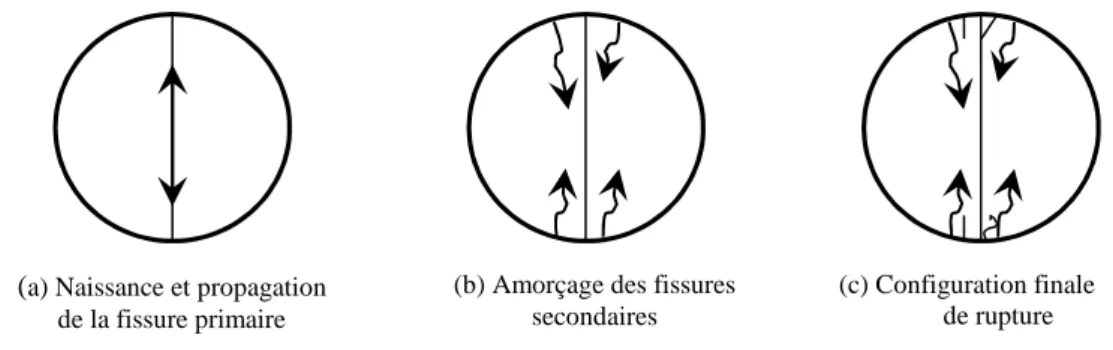 Fig. 2.15: Description du mécanisme de rupture de disque brésilien selon Rudnick et Colback 