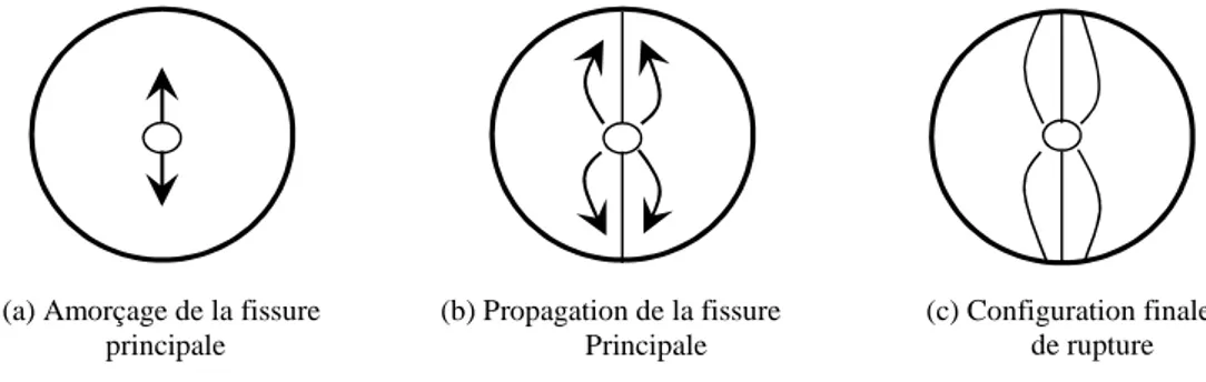 Fig. 2.16: Description du mécanisme de rupture de disque brésilien selon Nyoungue 