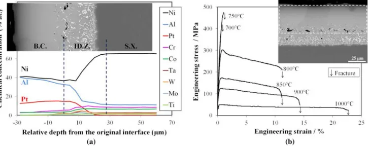Figure 1 ). Alumina grit particles were observed at the